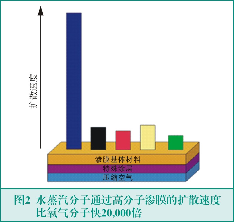 膜式干燥器的原理與應用