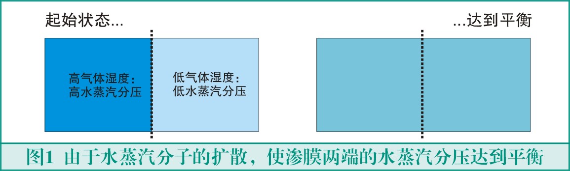 膜式干燥器的原理與應用