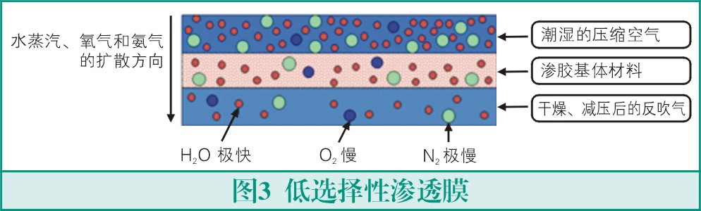 膜式干燥器的原理與應用