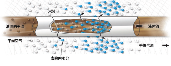 油干燥原理圖.png