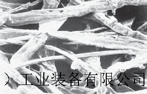 濾芯放大2.png